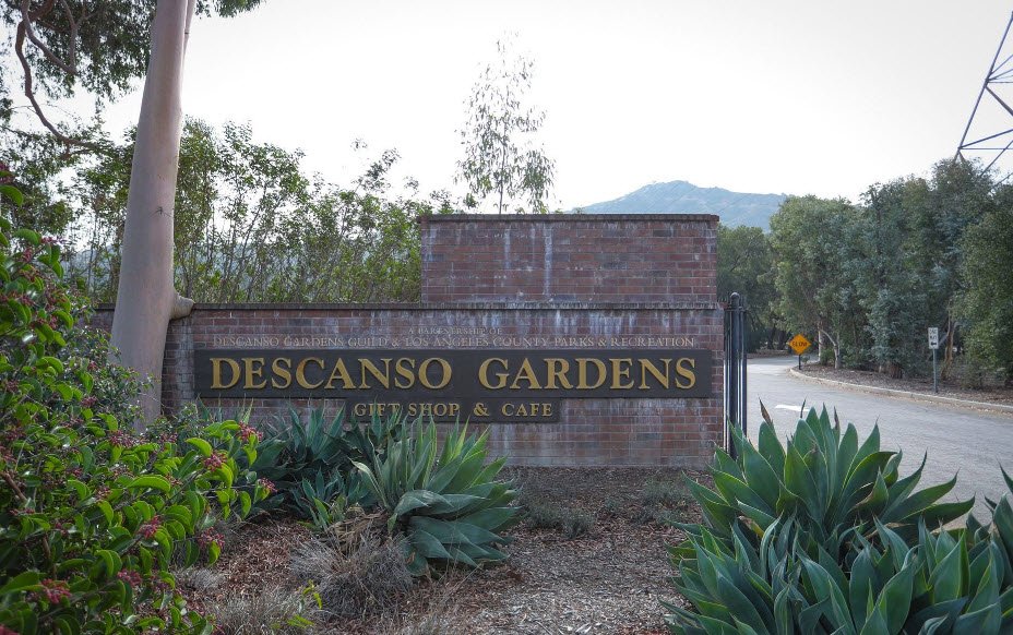 Descanso Gardens, United States
